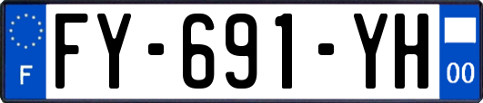 FY-691-YH
