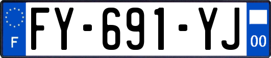 FY-691-YJ