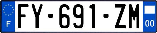 FY-691-ZM