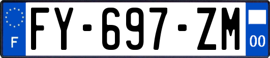 FY-697-ZM