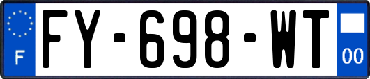FY-698-WT