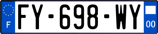 FY-698-WY