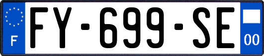 FY-699-SE