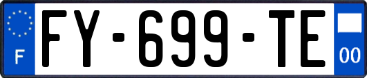 FY-699-TE