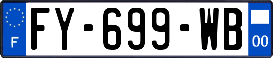 FY-699-WB