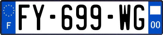 FY-699-WG