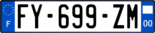 FY-699-ZM