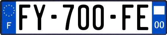 FY-700-FE