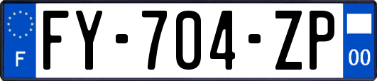 FY-704-ZP