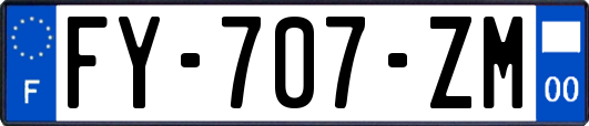 FY-707-ZM