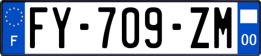 FY-709-ZM