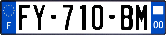 FY-710-BM