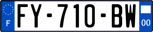FY-710-BW