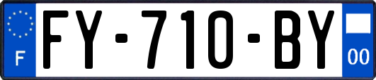 FY-710-BY