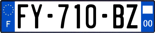 FY-710-BZ