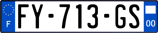 FY-713-GS