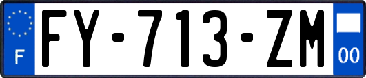 FY-713-ZM
