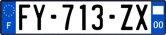 FY-713-ZX