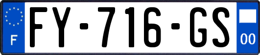 FY-716-GS