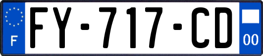 FY-717-CD