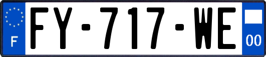 FY-717-WE