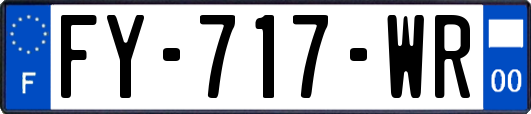 FY-717-WR