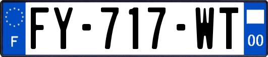 FY-717-WT