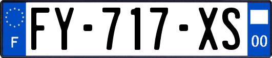 FY-717-XS