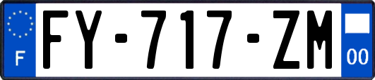 FY-717-ZM