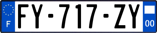 FY-717-ZY