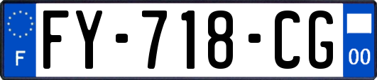 FY-718-CG