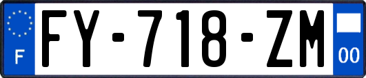 FY-718-ZM