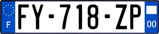 FY-718-ZP