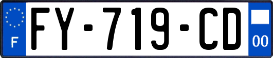 FY-719-CD