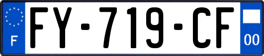 FY-719-CF