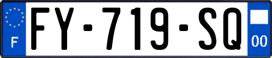 FY-719-SQ