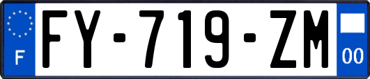 FY-719-ZM