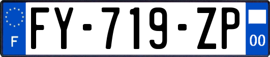 FY-719-ZP