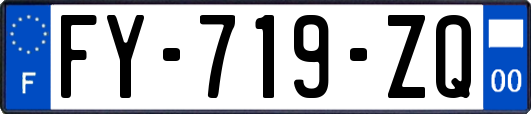 FY-719-ZQ