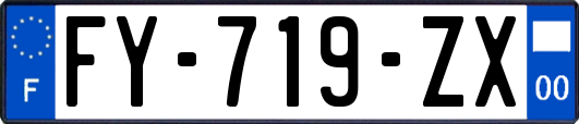 FY-719-ZX
