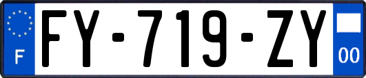 FY-719-ZY
