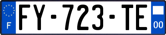 FY-723-TE