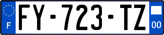 FY-723-TZ