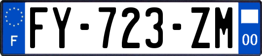 FY-723-ZM