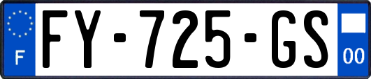 FY-725-GS
