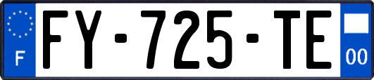 FY-725-TE