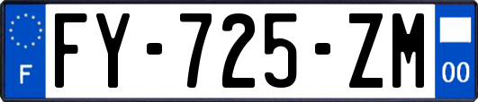 FY-725-ZM