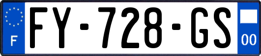 FY-728-GS