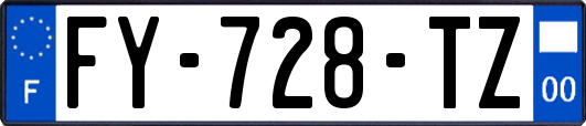 FY-728-TZ