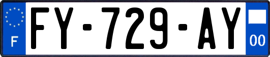 FY-729-AY